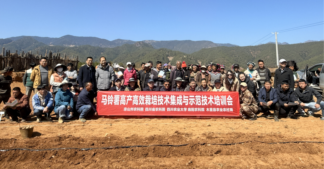 科技服務下基層   助力薯農促增收